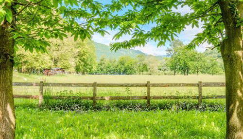 Apartment Tre Laghi by Interhome - Foto 2