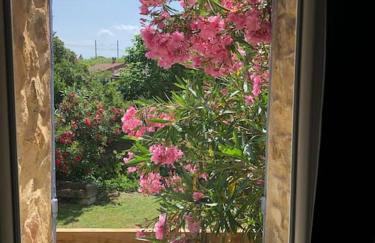 Mazet Magnan, Rustic Luxury in Provence - Foto 10