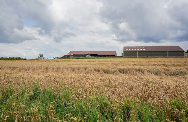 Bungalow in Landgraaf With Terrace - Foto 49