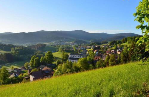 Cozy Apartment in Ruhmannsfelden With Swimming Pool - Foto 112