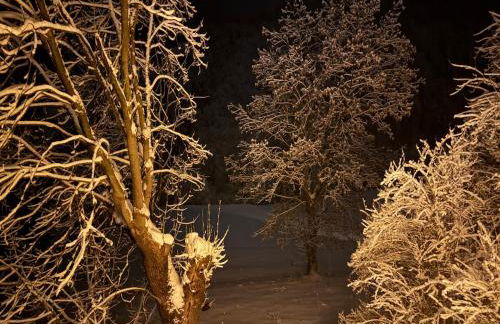 Cosy, luxury apt in quiet hamlet, four stars - Photo 25