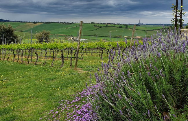 Casale Poggio Nebbia - Photo 73