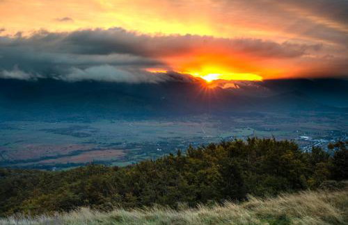 Studio apartman Marta - Foto 48