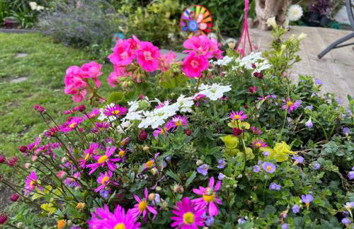 Le petit paradis - Foto 19