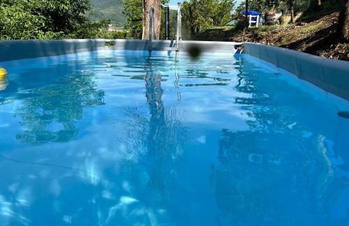 THE DORMOUSE - Il Ghiro - Foto 4