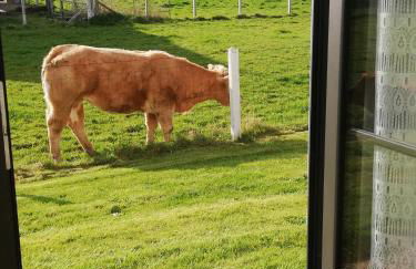 L'Opaline, Jolie Maison avec Jardin 6 pers,10km Honfleur, linge et internet inclus - Foto 48
