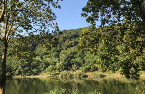 Ferienwohnung in Ediger Eller - Foto 19