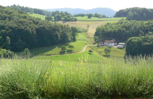Gîte la Sapinière - Foto 1
