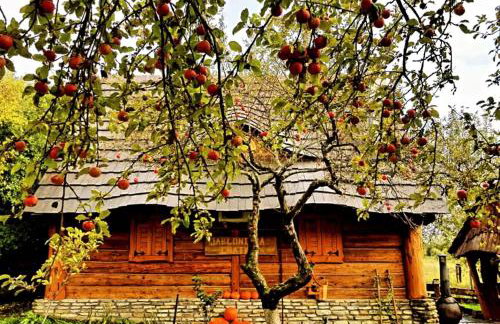 Jabłoniowa Chatka - Foto 1