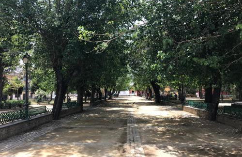 Casa Bahía de Cádiz - Foto 32