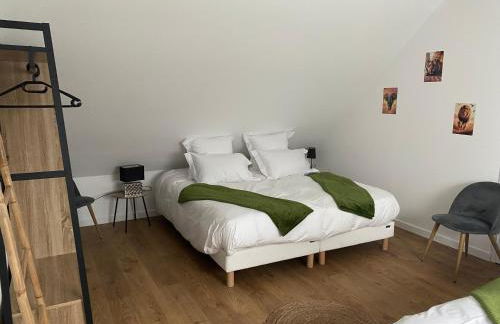 Duplex l Auvetia 150 m circuit 24 h - Photo 15