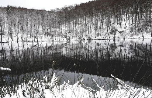 Ferienhaus direkt am Badesee Bungalow 11 Schönsee - Foto 34
