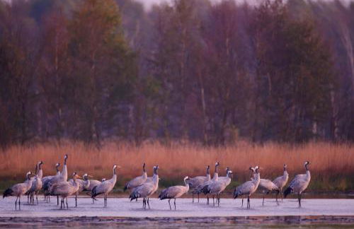 Seeliebe, 300 Meter zum Wasser, mit Terrasse und Garten - Foto 48