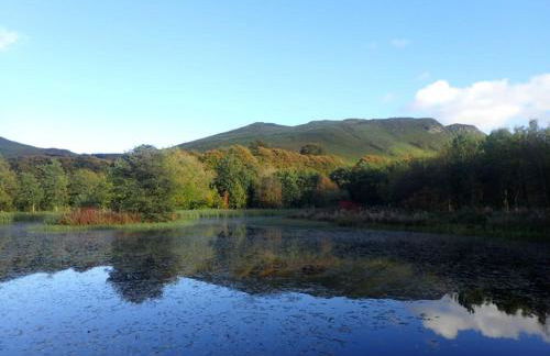 Foxglove Cottage - Photo 21