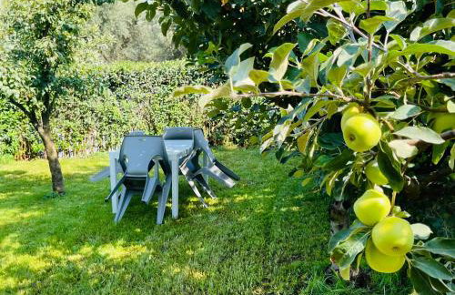 Sofi's Apartments - Foto 3