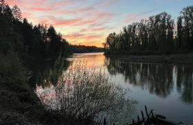 Blue Heron Sanctuary & Serene, river-front cottage - Foto 49
