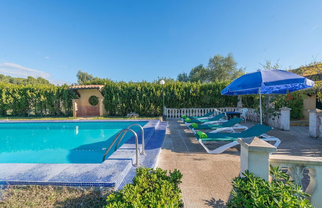 Hibiscus in Sa Pobla - Foto 5