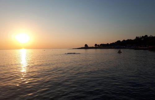 Apartments Dugonjić - Foto 21