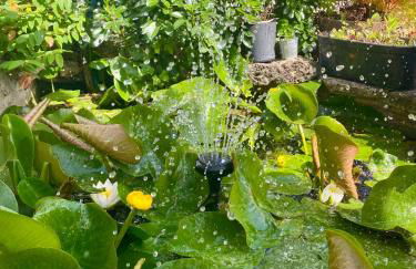 Maison design avec jardin Havre de paix aux portes de Paris & Disneyland - Foto 31