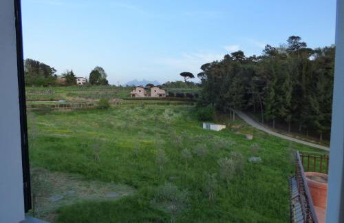 Agriturismo Podere Montese - Foto 18