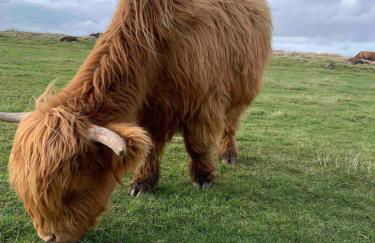 Stanton Lodge Cottage - sleeps 5 - Foto 37