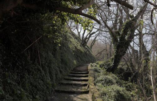 Apartment in Susak with air conditioning, W-LAN (3865-6) - Foto 27