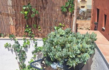 El Terrat de la Tecla - Dúplex Casc Antic - Foto 28