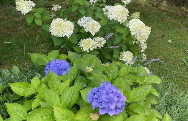 Ferienhaus SONNE - Foto 3