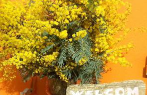 Maison de vacances - côte de Jade - coup de coeur - Foto 28