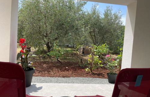 Apartmani Stellar - Foto 22