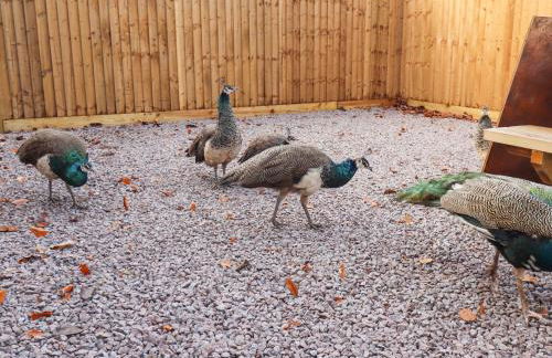 The Granary - Foto 54