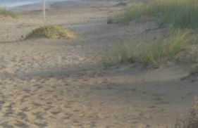 Ocean Village - Foto 30