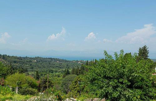 Casa Jinjola - Foto 36