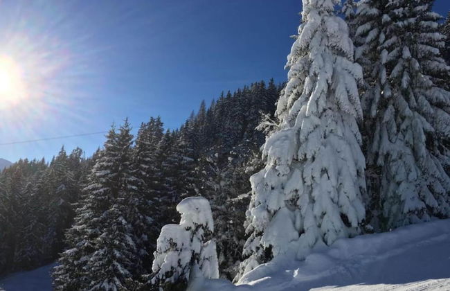 Chalet in Mittersill Near Ski Slopes - Foto 34