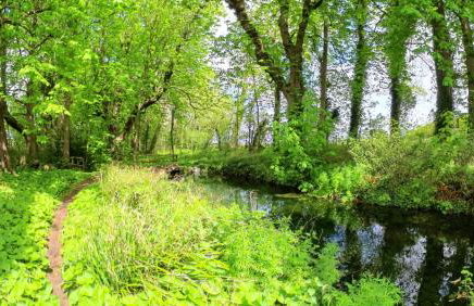 Walled garden cottage - Foto 16