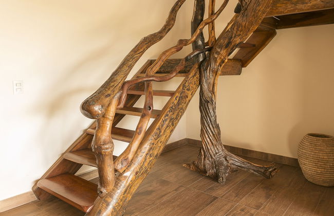 Terra Coral - Chapada dos Veadeiros - Foto 66