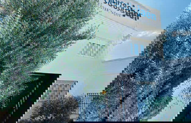 Visita al frantoio Oleícola Jaén con degustazione di olio - Foto 9