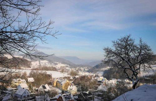 Duplex vue sur les montagnes - Orbey - Foto 28