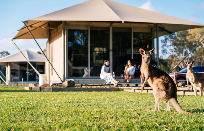 Habitat Noosa - Foto 10