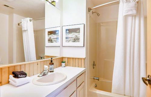 Sunspot Lodge - Schweitzer Mountain - Foto 37