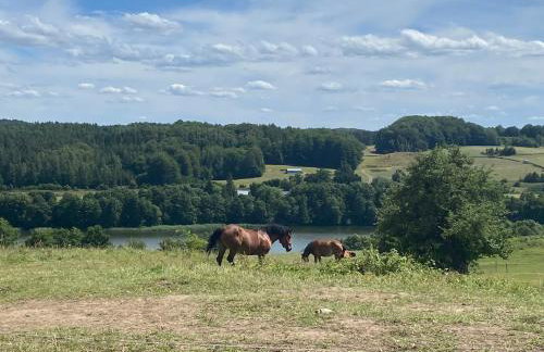 Domek na Kaszubach - Pierszczewo - Foto 21