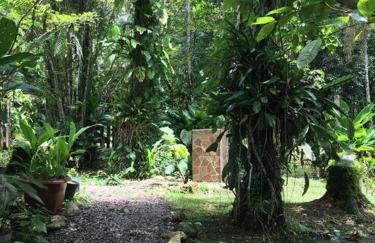 Chácara na Mata Atlântica - Photo 19