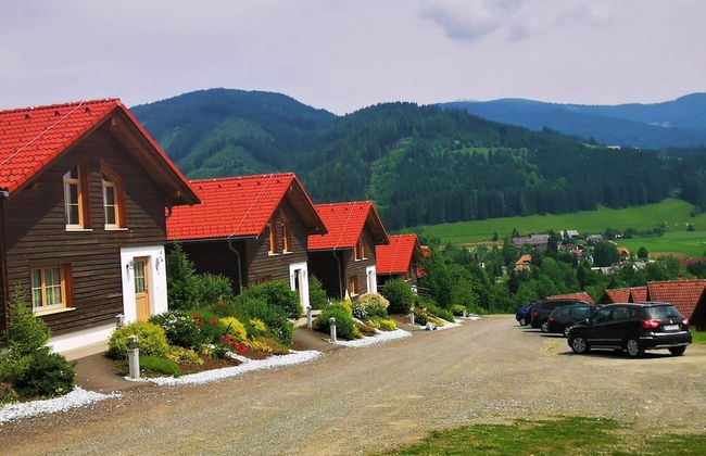 Chalet in Gaal by Ski Slopes & Bathing Pond - Foto 1