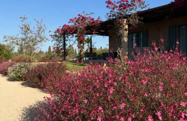 Finca El Idilio - Foto 7