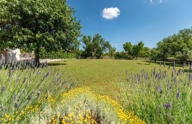 Villa Basil Zadarvillas - Foto 44