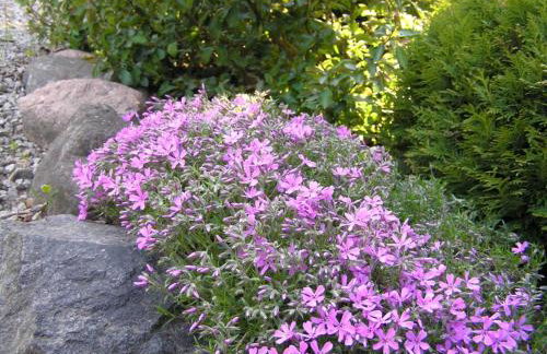 Dom nad jeziorem - Mazury - Foto 3