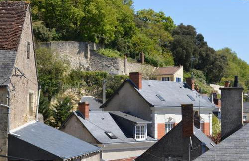 Charmant gîte à Vouvray avec 2 chambres et jardin - FR-1-381-167 - Photo 18