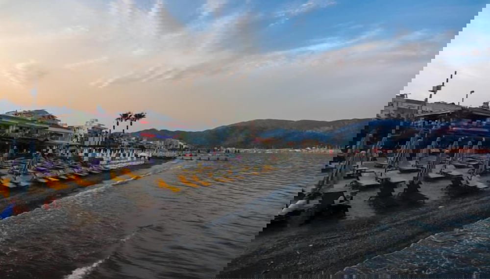 Little Gemin - Foto 1, Profilbild