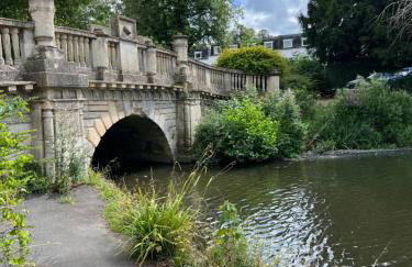 The Lily Pad - Boutique Townhouse, a short walk to Town Center and Racecourse - Photo 11