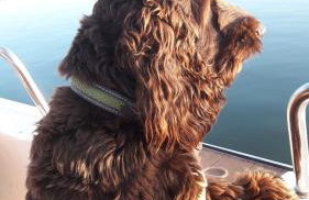 AB Musiol - Photo 32